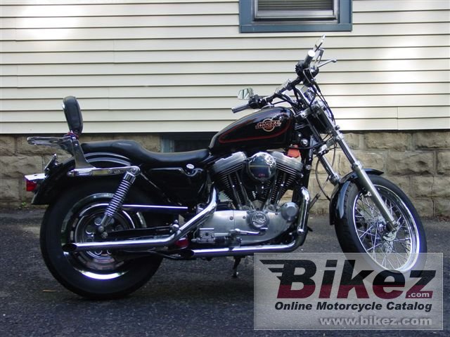 Big nymous user. 1200 sportster picture and wallpaper from Bikez.com
